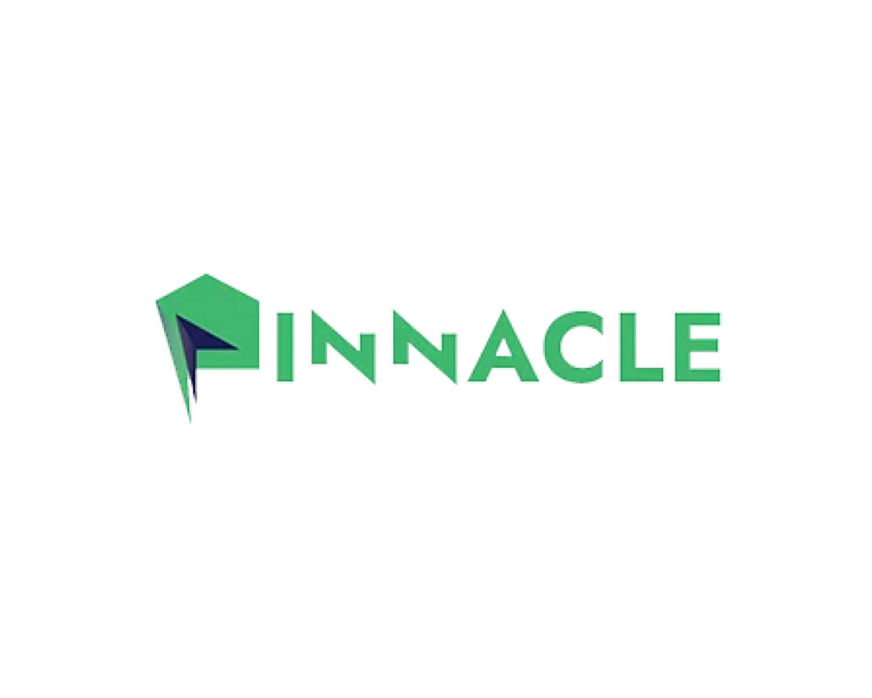 project-pinnacle-group-thumbnail-image